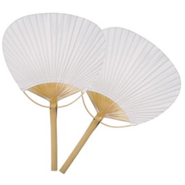 Paddle Fans